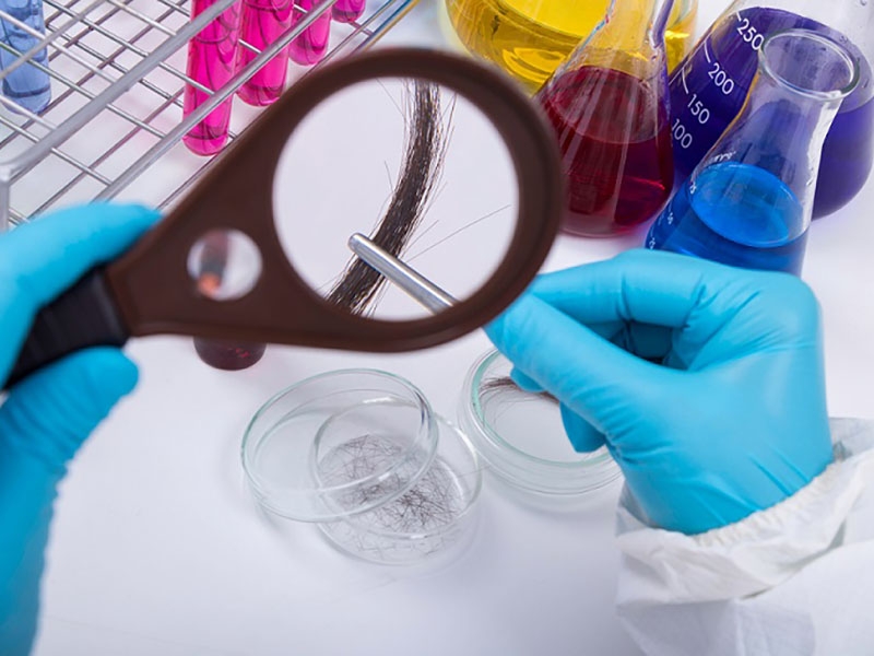 Examinasyong Toksikolohiko